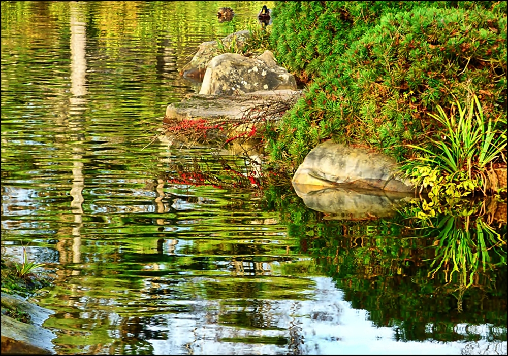 Nordpark Düsseldorf