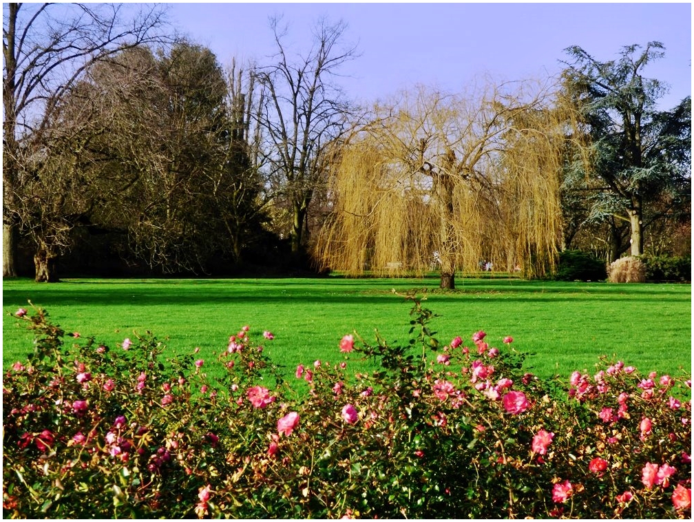 Nordpark Düsseldorf