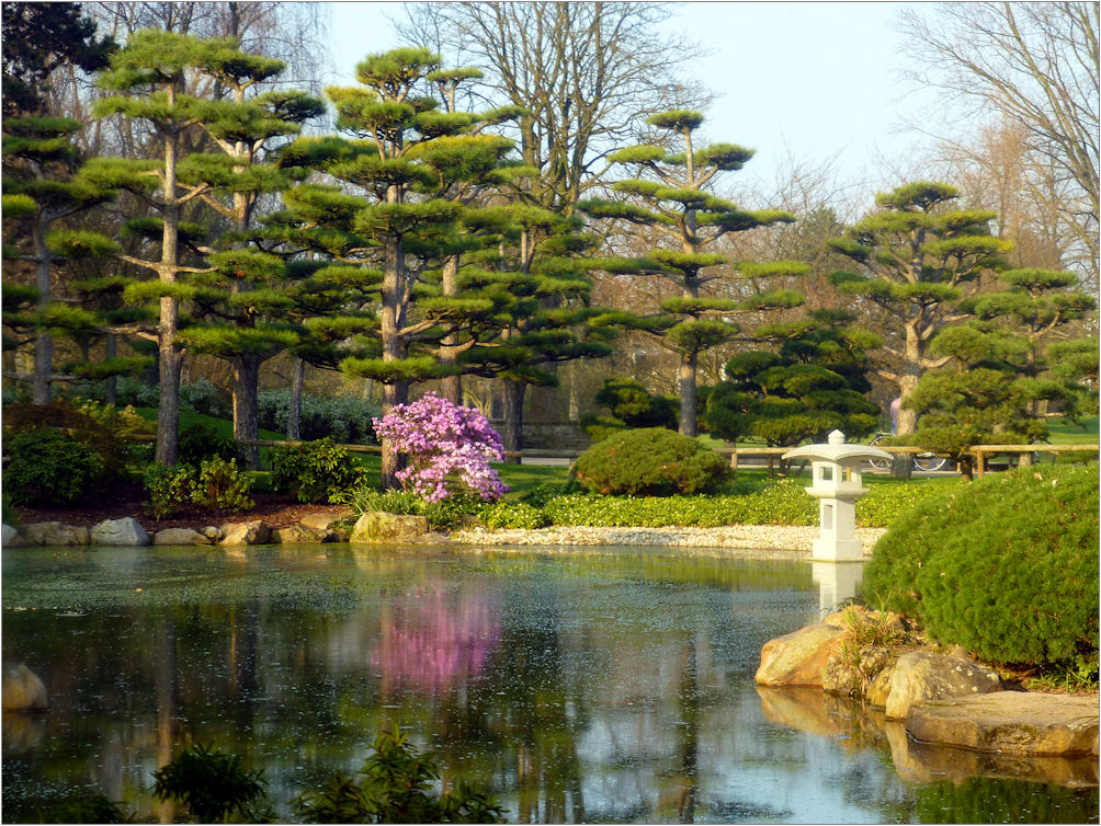 Nordpark Düsseldorf Foto & Bild landschaft, garten