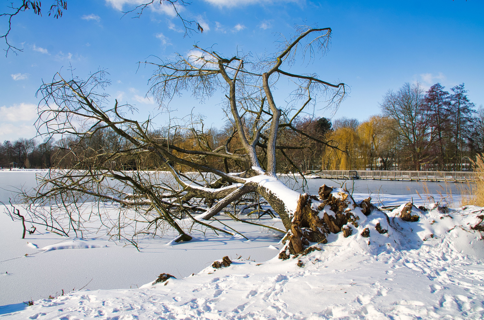 Nordpark Gladbeck