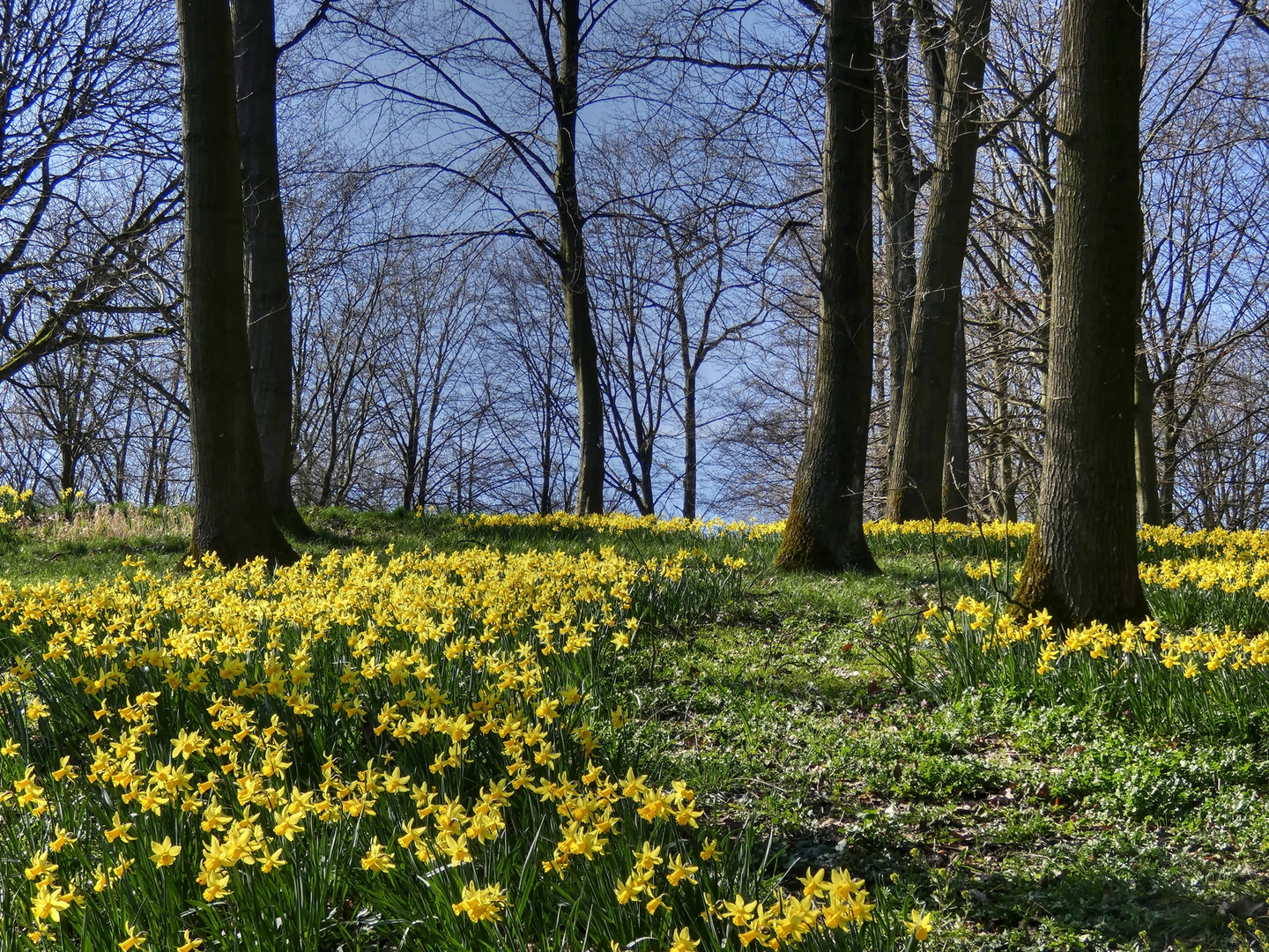 Nordpark Wuppertal