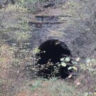 Nordportal des Laufenseldener Tunnels