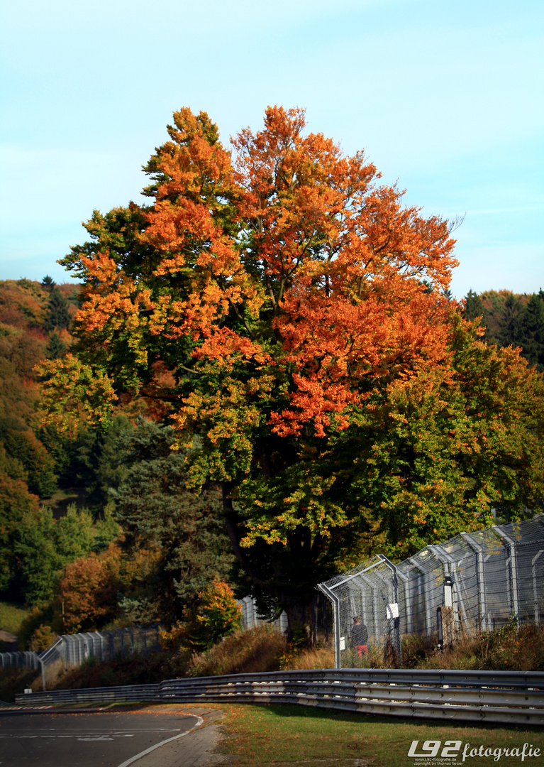 Nordschleife im Herbst