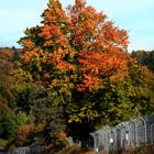 Nordschleife im Herbst