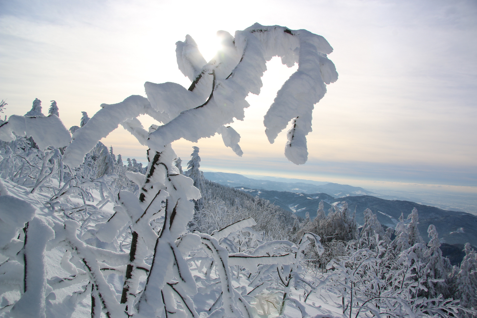 Nordschwarzwald