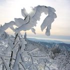 Nordschwarzwald