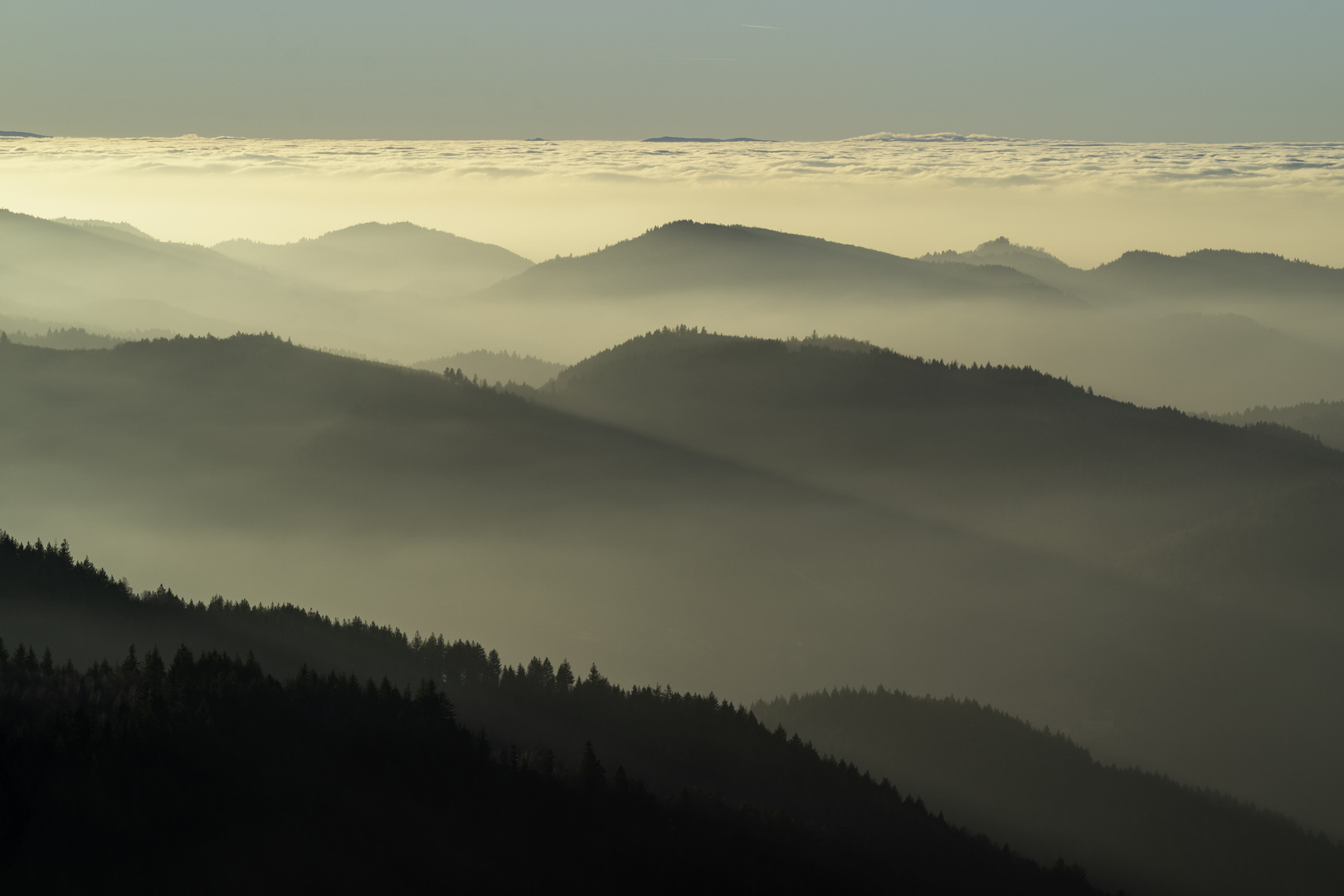 Nordschwarzwald