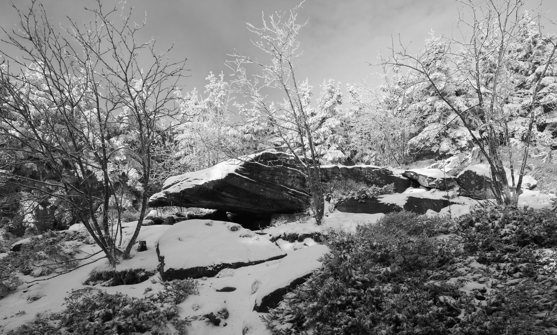 Nordschwarzwald