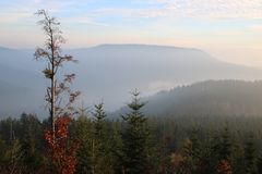 Nordschwarzwald im Nebel