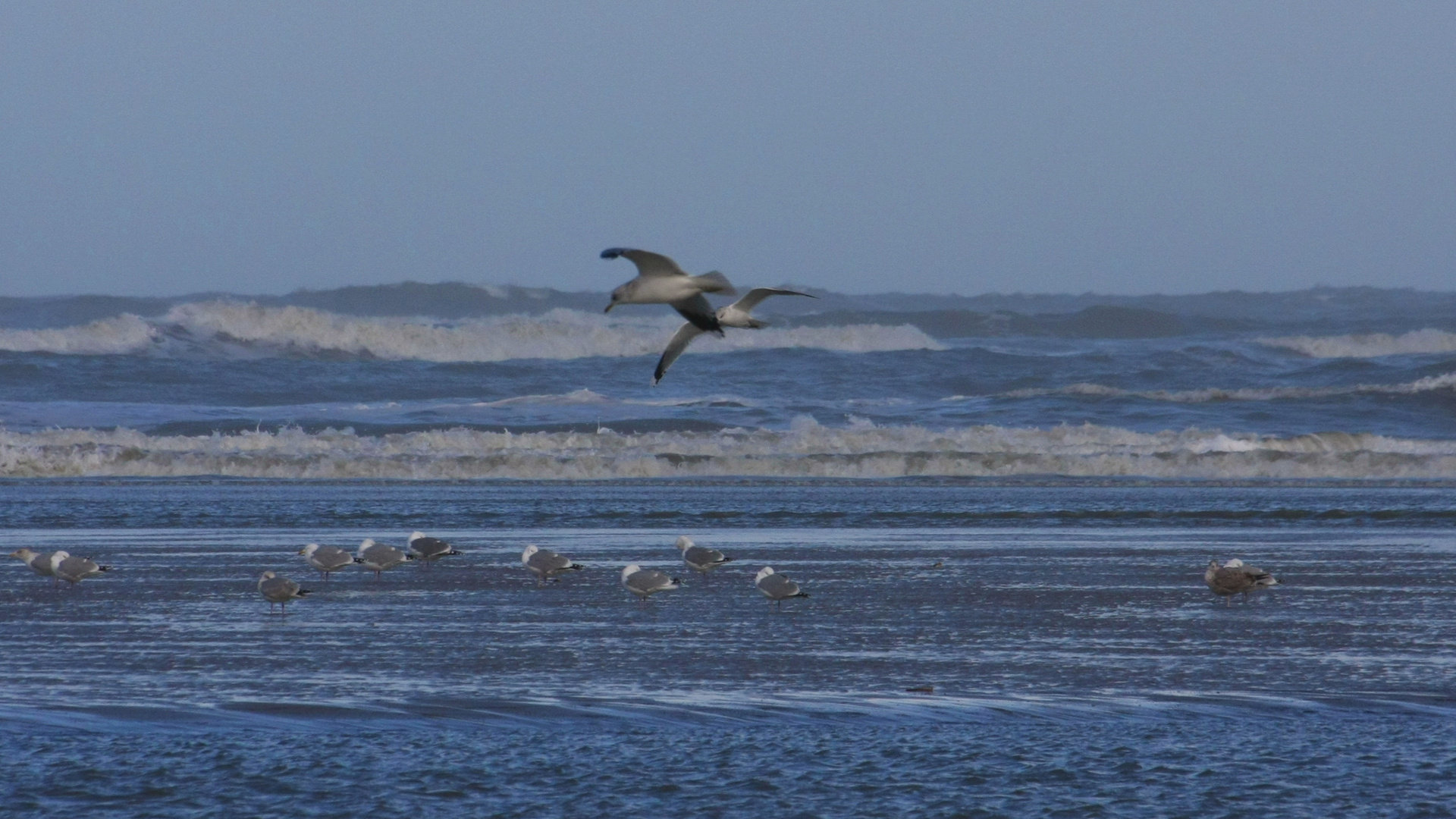 Nordsee