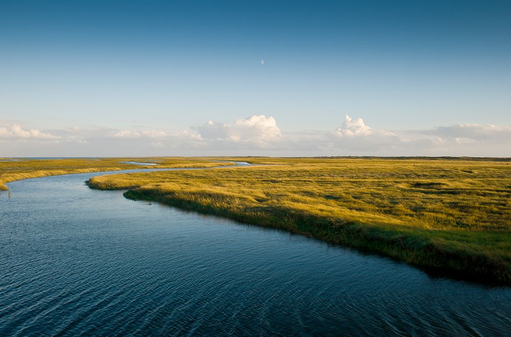 Nordsee von Markus Säwert 