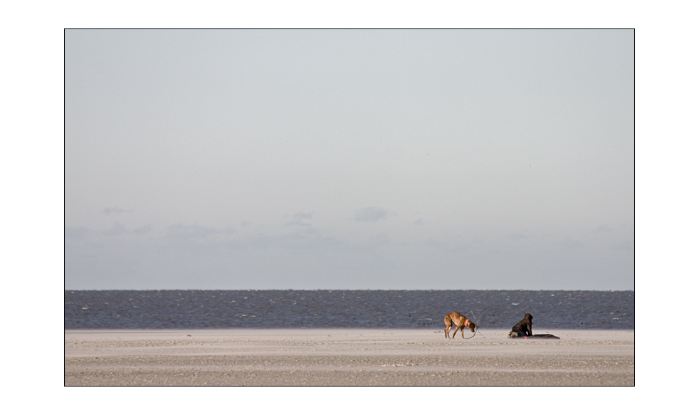 nordsee #116