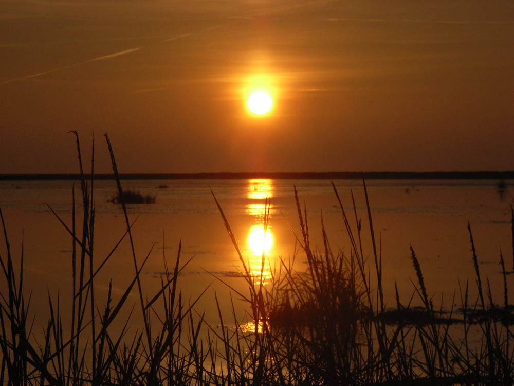 Nordsee