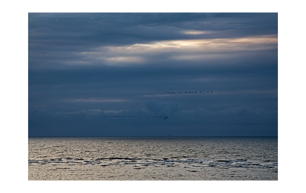 nordsee #150