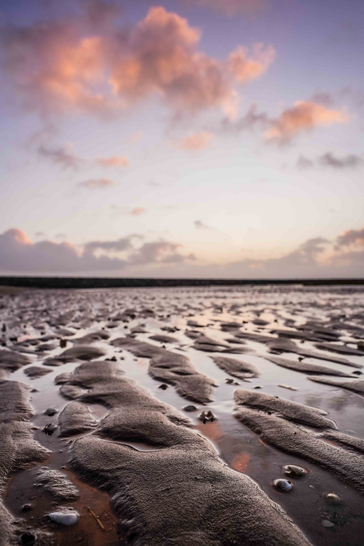 Nordsee 2