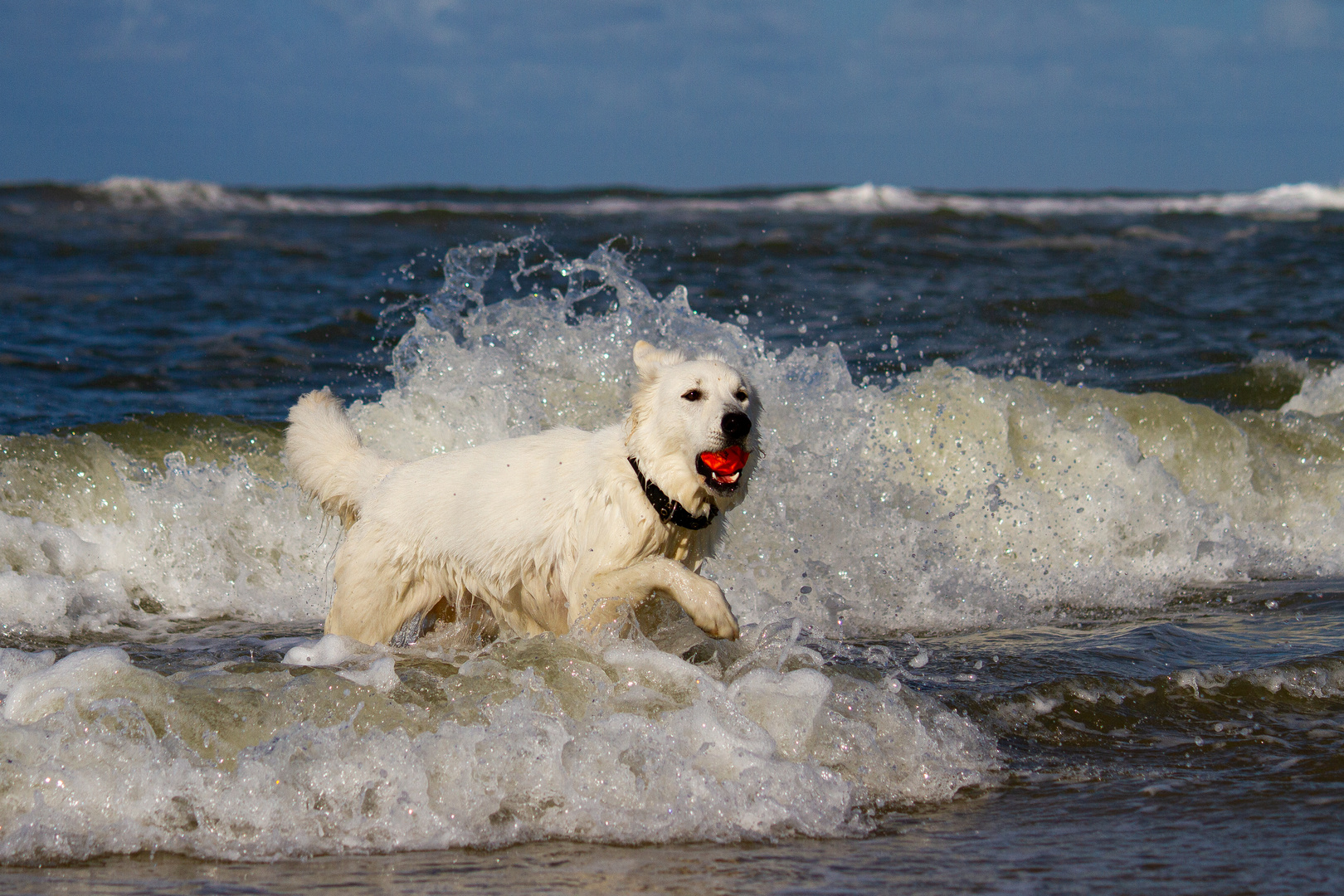 Nordsee