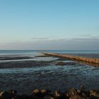 Nordsee 281120_MG_1522