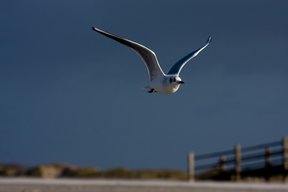 Nordsee 4