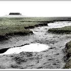 Nordsee #4: Hamburger Hallig