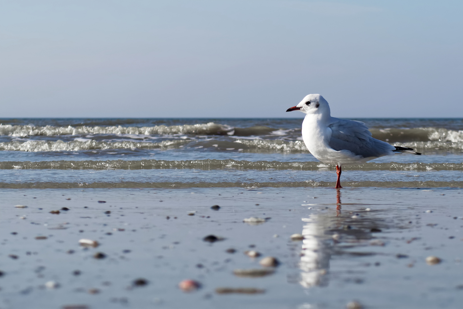 Nordsee