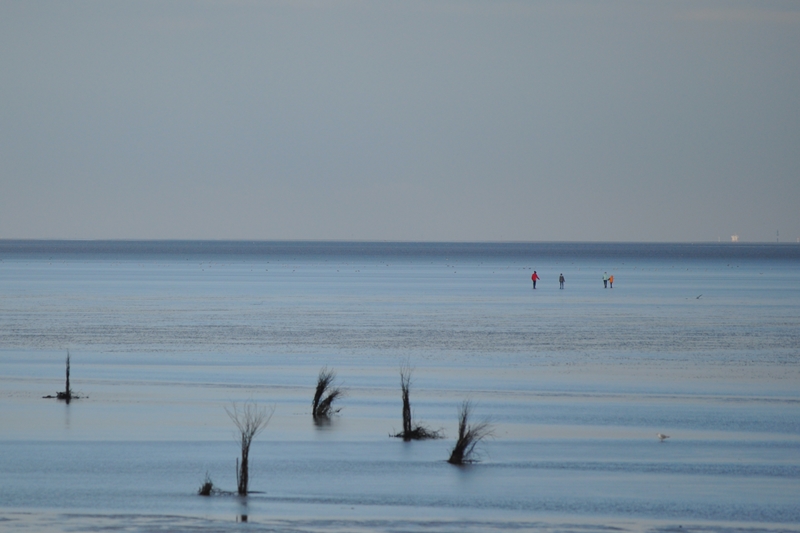 Nordsee 5 - im Watt