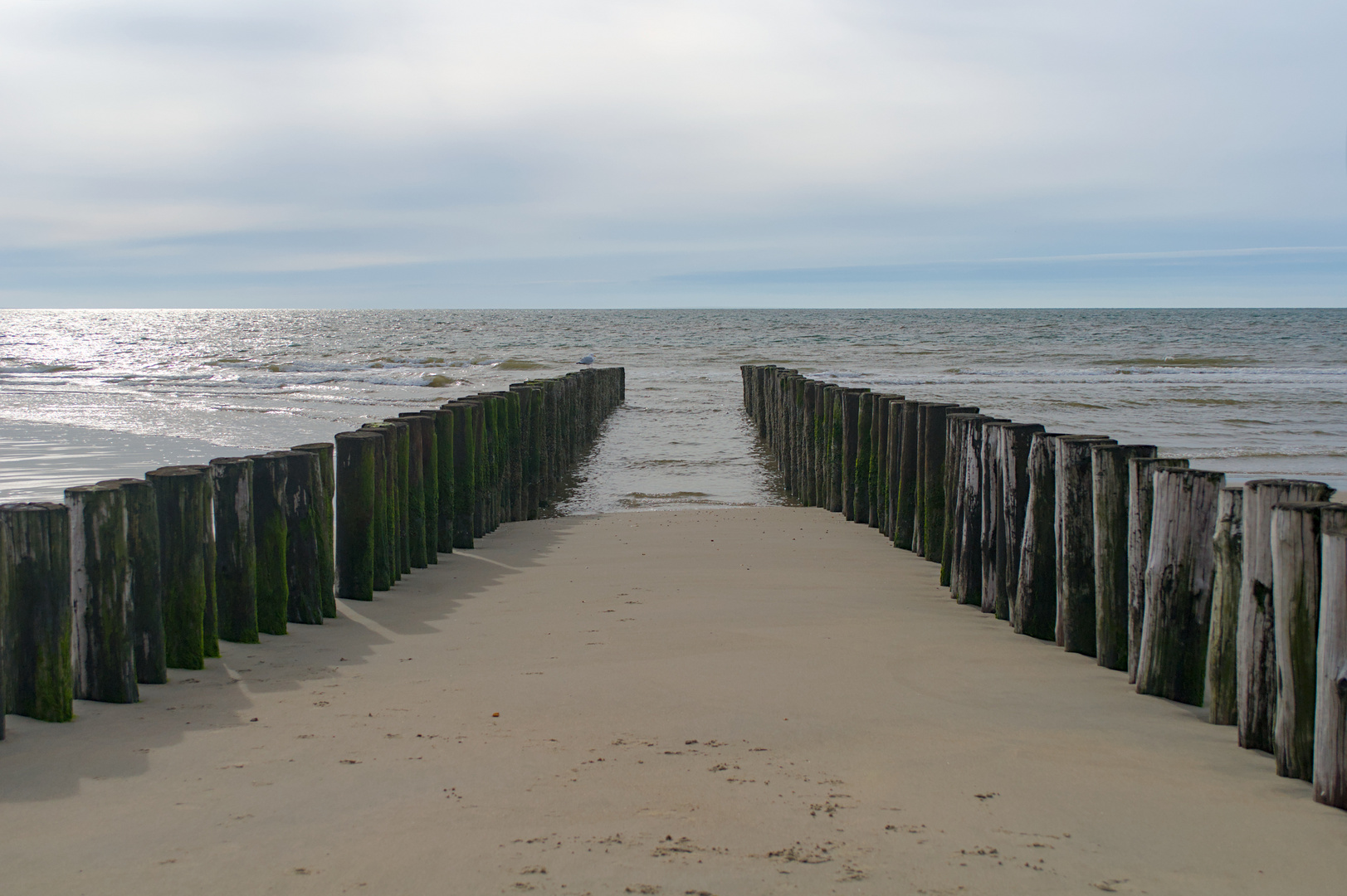 Nordsee