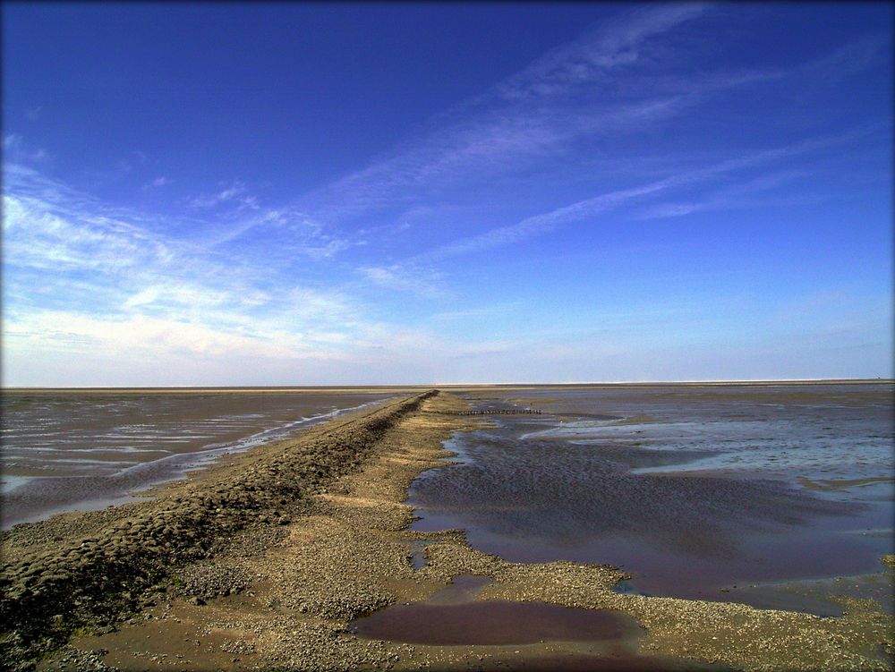 Nordsee by Bermingham 