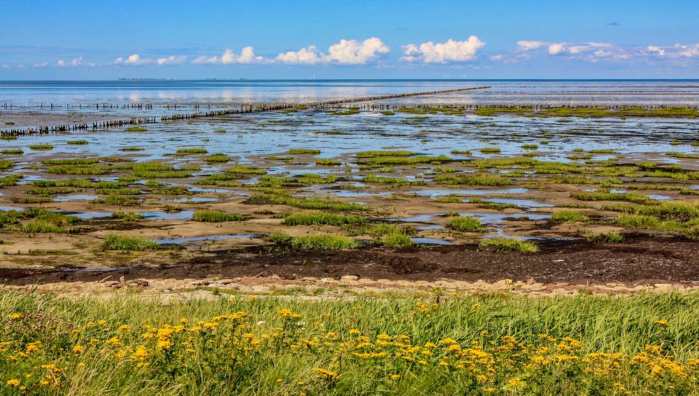 Nordsee ..