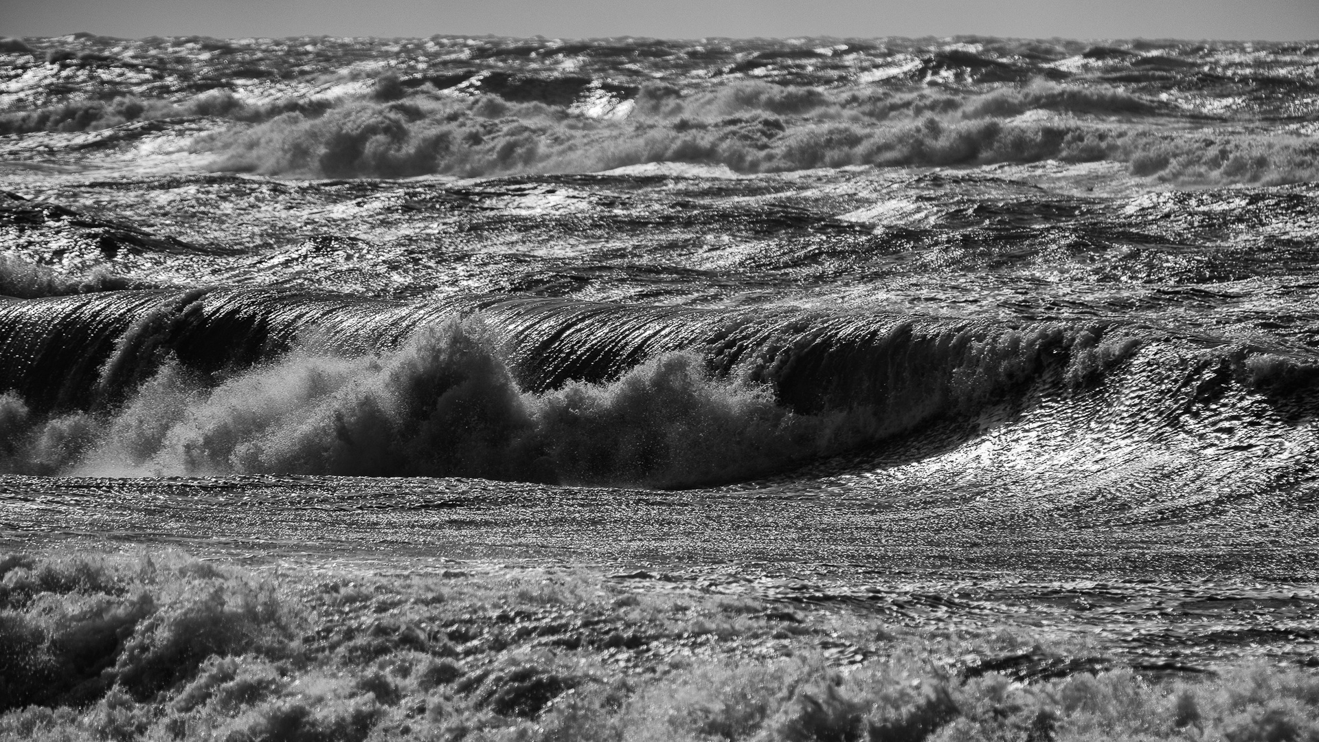 NORDSEE aktiv