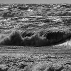 NORDSEE aktiv