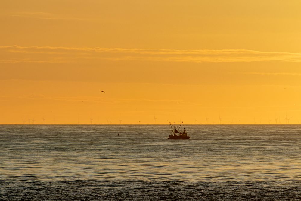 Nordsee am Abend