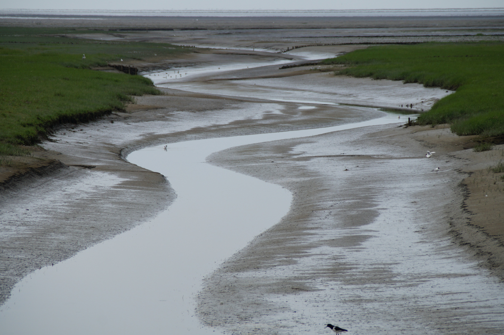 Nordsee am Deich