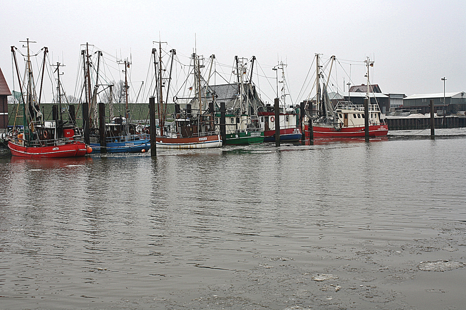 Nordsee - Am Deich