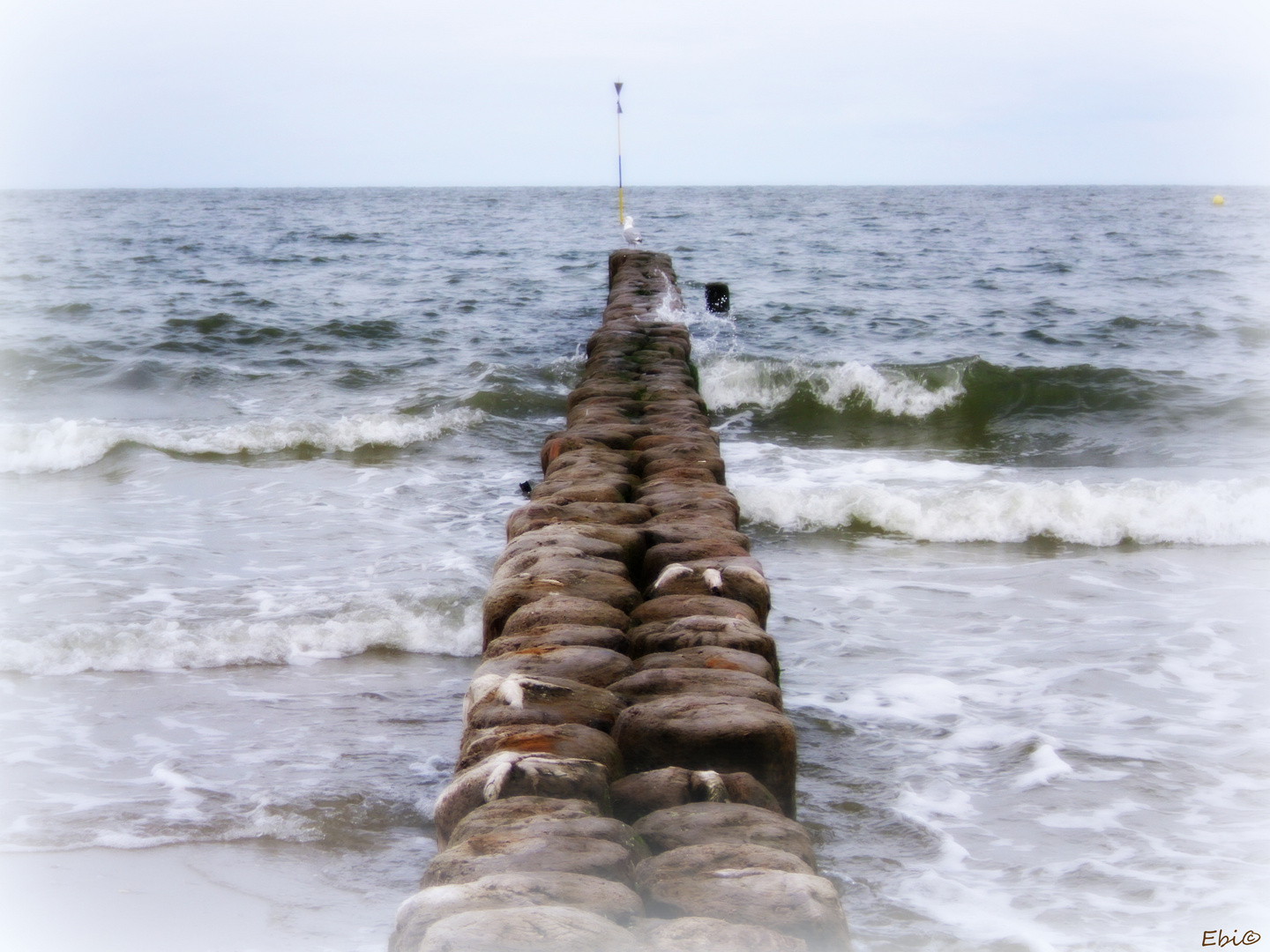 Nordsee - Amrum 2012