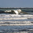 Nordsee auf Ameland