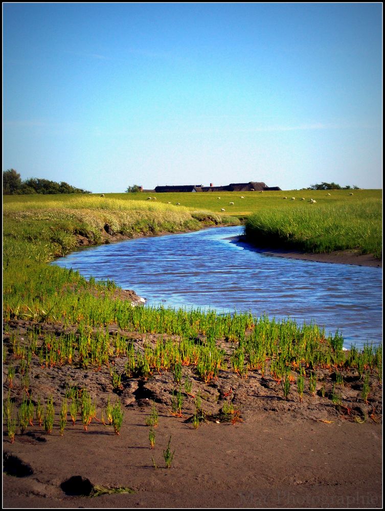 Nordsee-(Augen)Blick