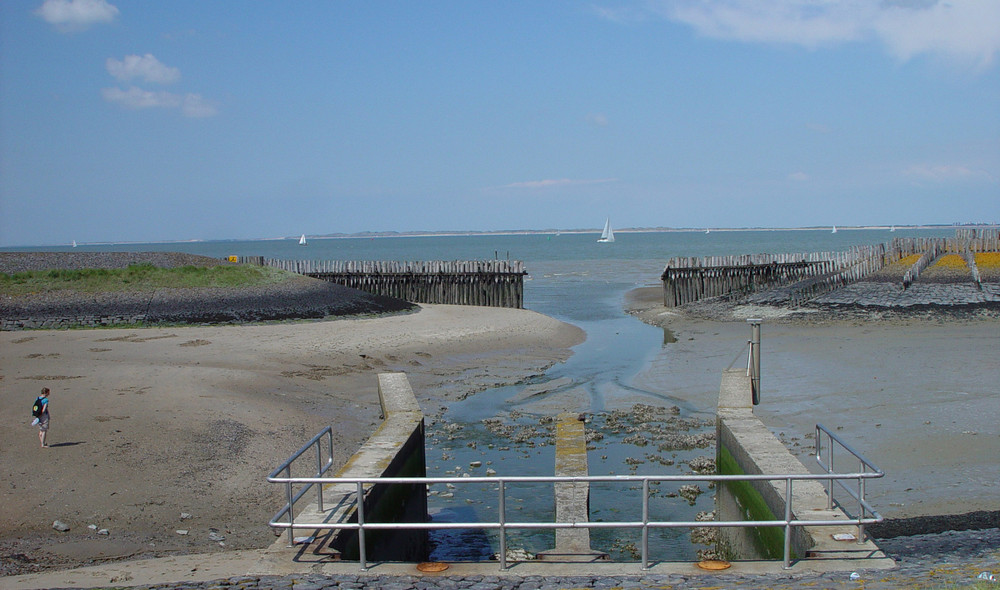 Nordsee bei Breskens