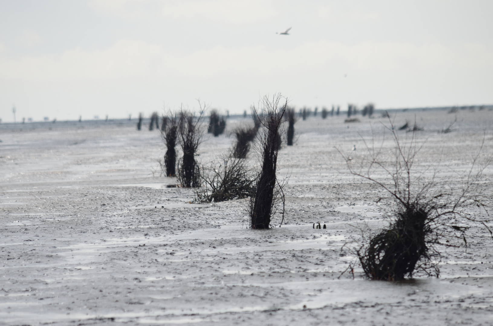 Nordsee bei Cuxhaven