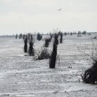 Nordsee bei Cuxhaven