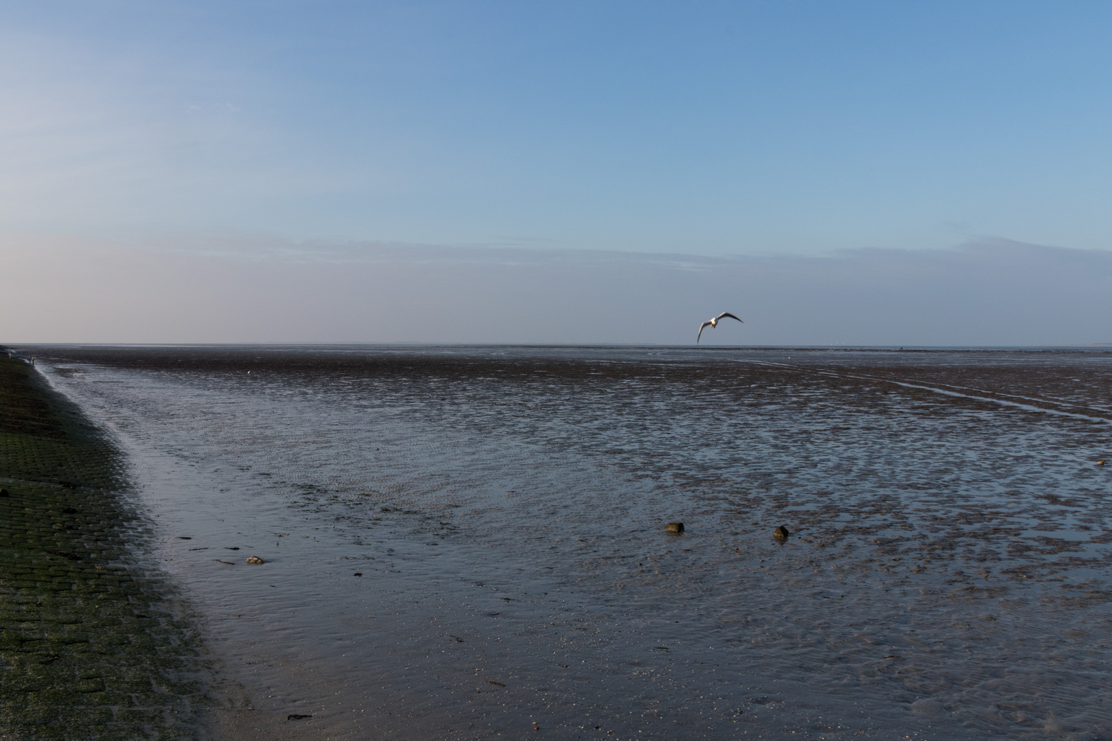 Nordsee bei Ebbe