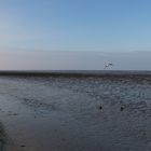 Nordsee bei Ebbe