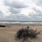 Nordsee bei Nieuwpoort - Belgien