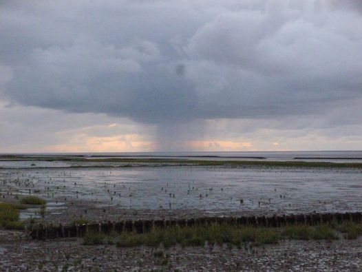 Nordsee bei Norden 