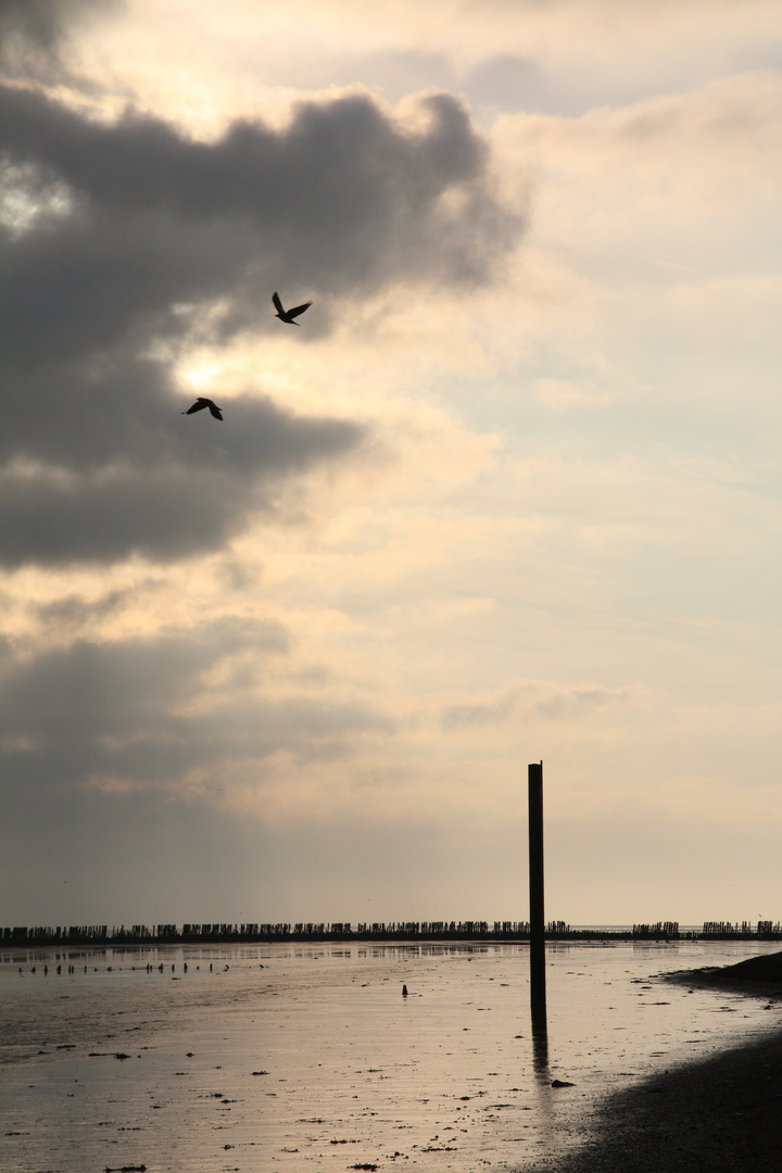 Nordsee bei Wierum