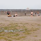 Nordsee Bilder Teil 1