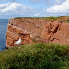 Nordsee,, Blick vom Insel Helgoland