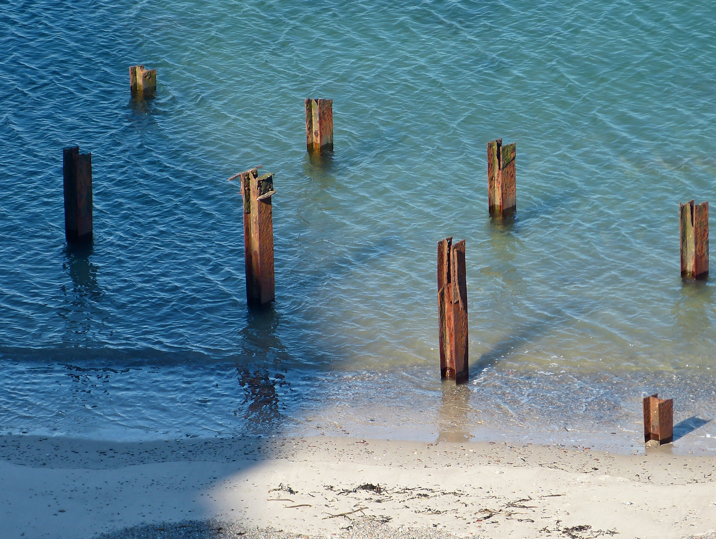 Nordsee-Blickfang