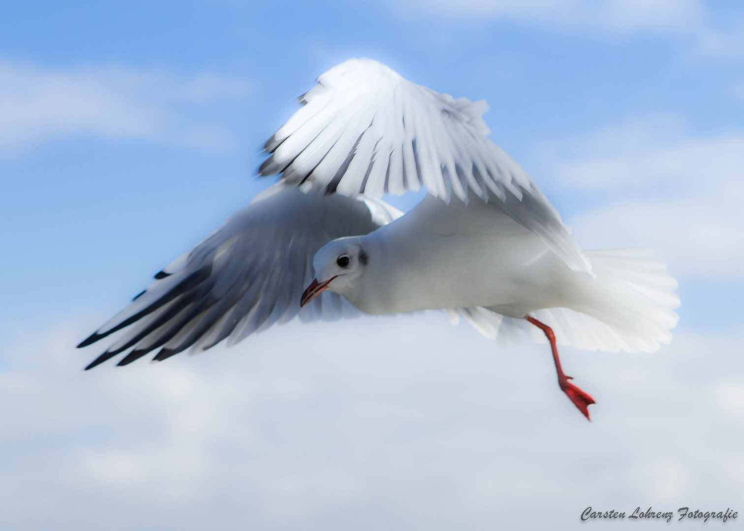 Nordsee Cuxhaven Dunen