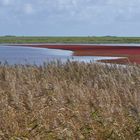 Nordsee - Dänemark