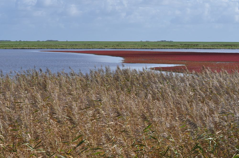 Nordsee - Dänemark